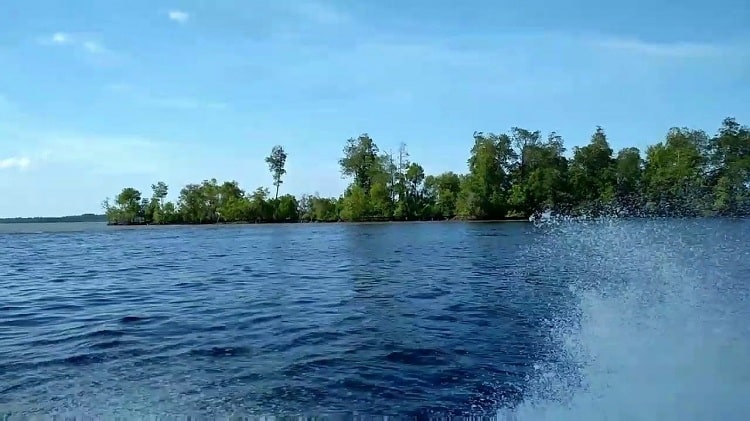 Pulau Dedap Durhaka