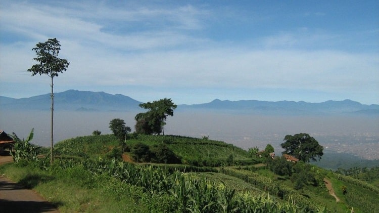 Tempat Nongkrong Caringin Bogor