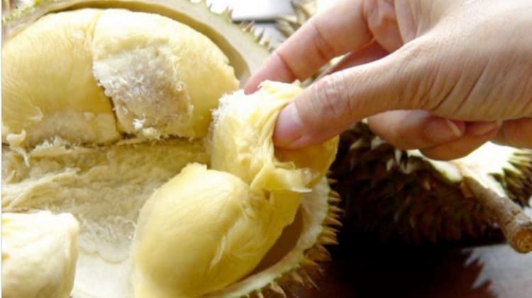 Durian Petruk