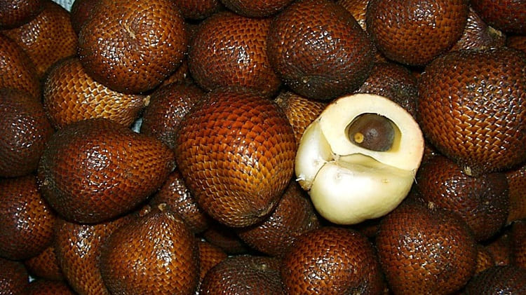 Salak Pondoh